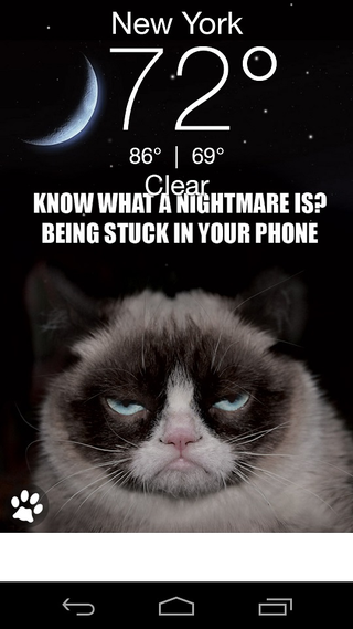 Illustration for article titled The Grumpy Cat Weather App Won't Sugar Coat Things For You